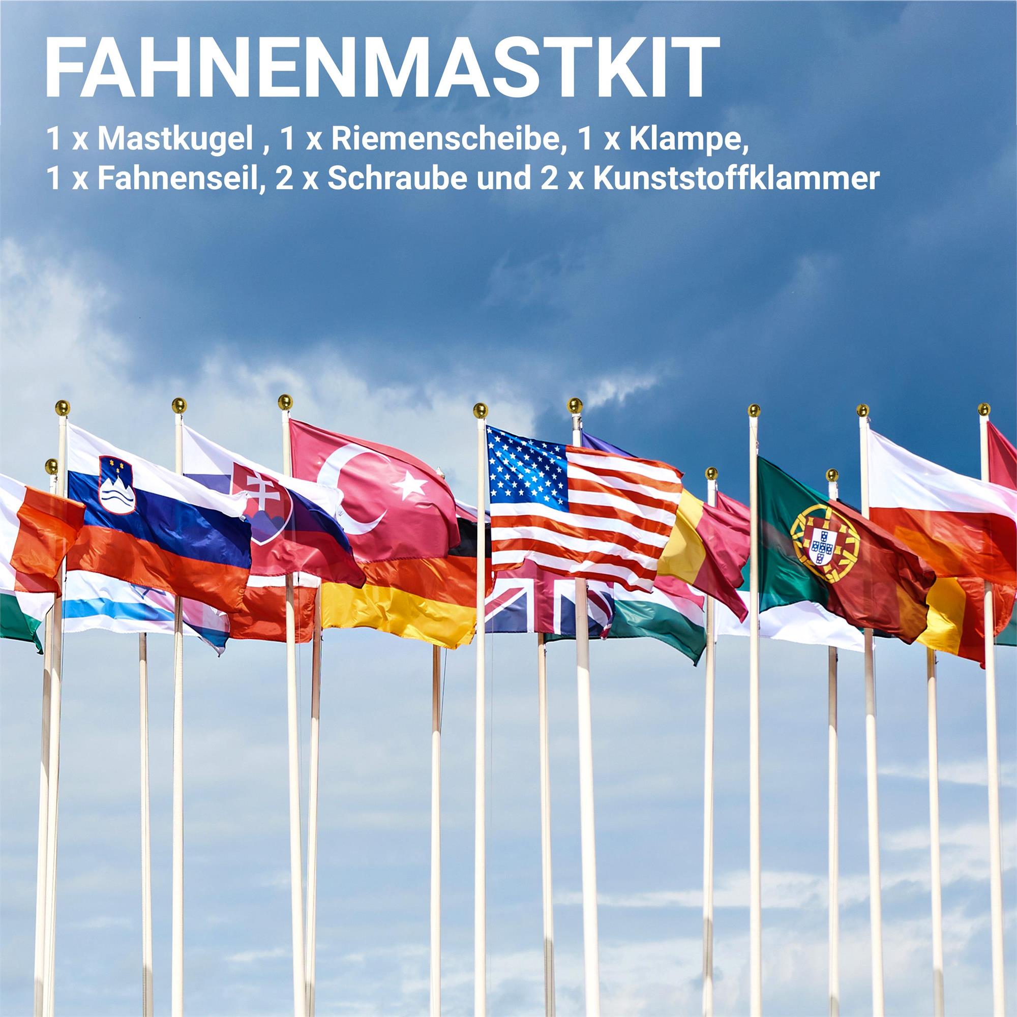 Bild 7 von 7